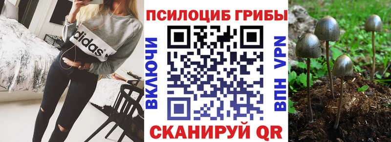 Псилоцибиновые грибы прущие грибы  как найти закладки  Алексеевка 
